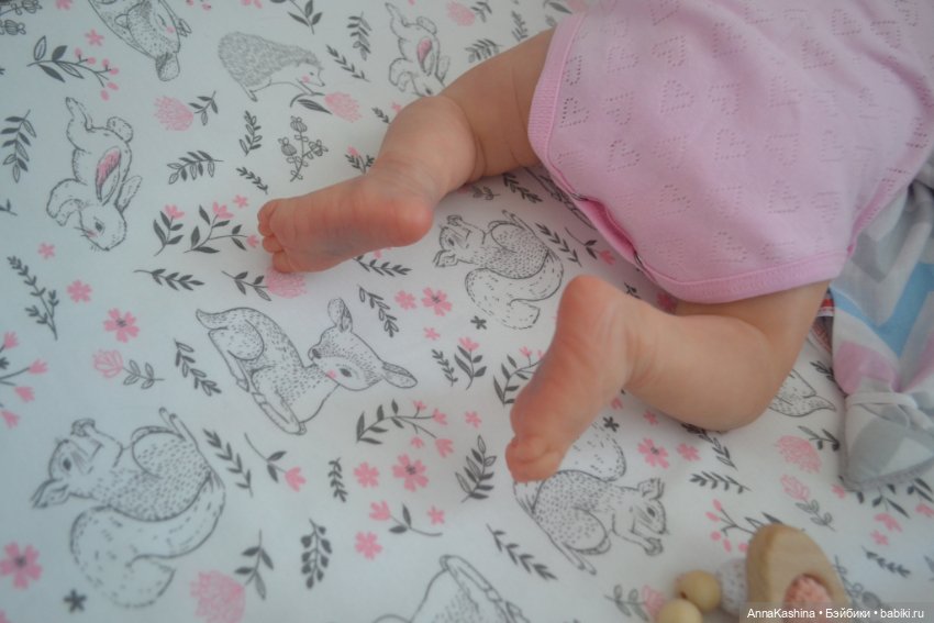 Мой долгожданный бурундучок! Доминика (фото 6)