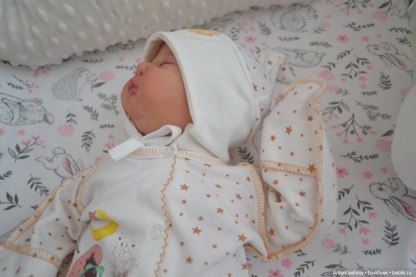 Мой долгожданный бурундучок! Доминика