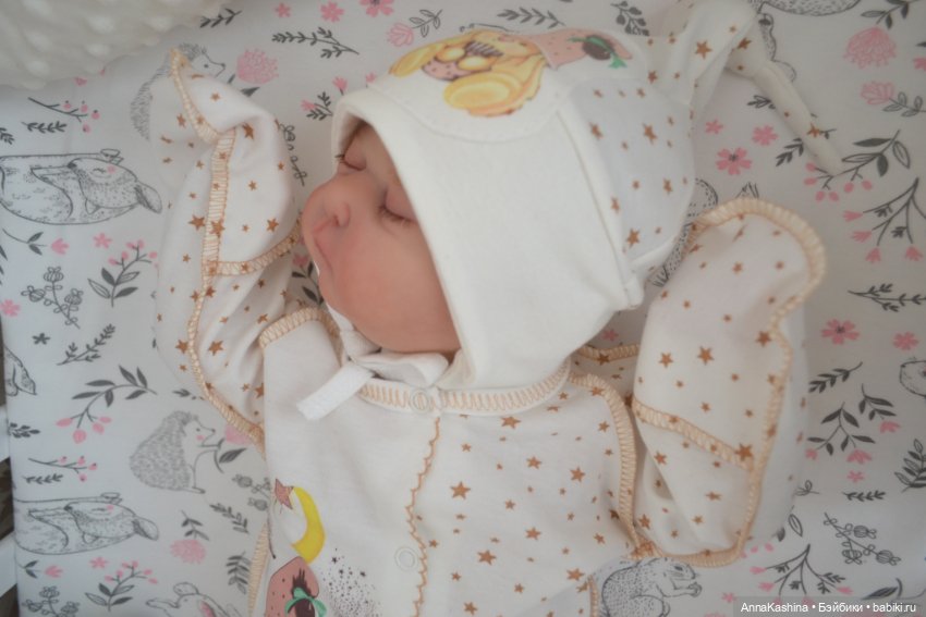 Мой долгожданный бурундучок! Доминика