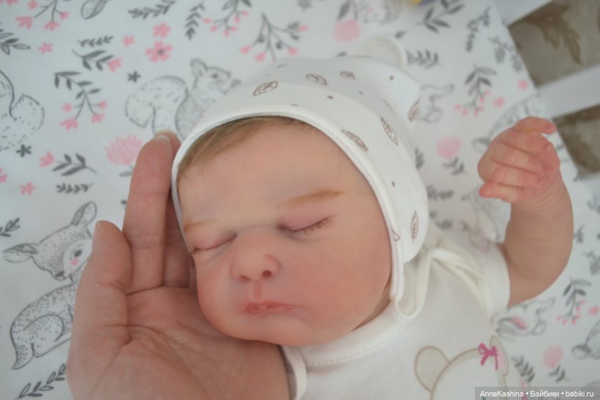 Мой долгожданный бурундучок! Доминика