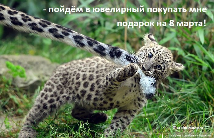 МАРТриархат — Болталка и разговоры обо всем: жизнь (фото 10)