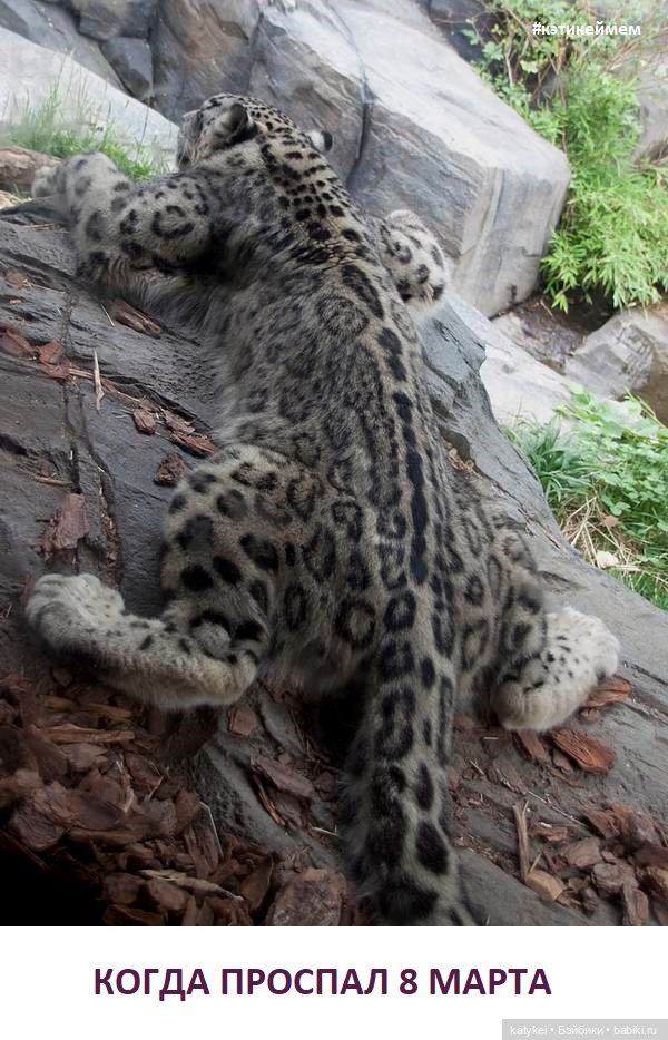 МАРТриархат — Болталка и разговоры обо всем: жизнь