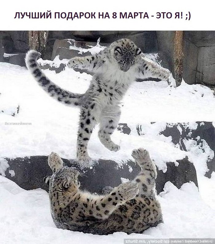 МАРТриархат — Болталка и разговоры обо всем: жизнь