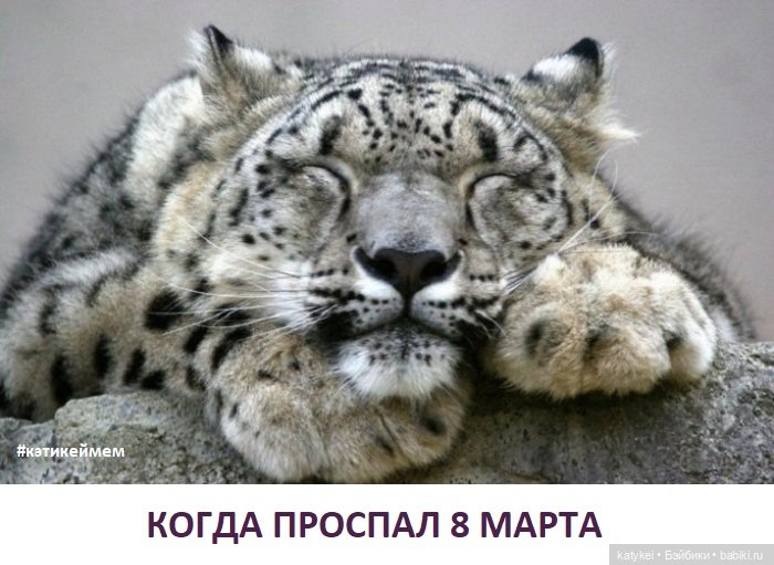 МАРТриархат — Болталка и разговоры обо всем: жизнь