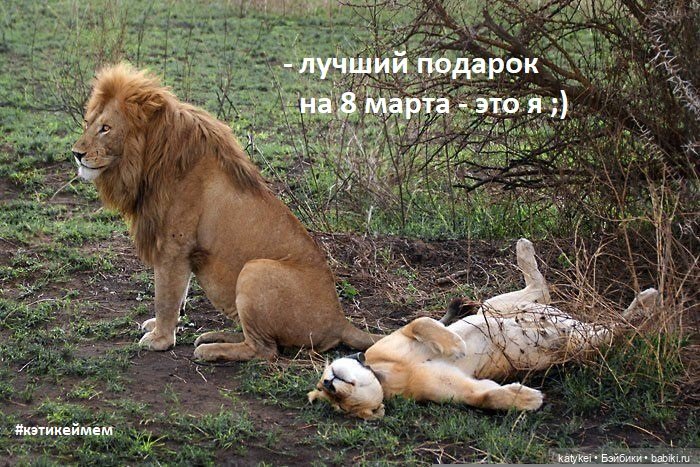 МАРТриархат — Болталка и разговоры обо всем: жизнь (фото 3)