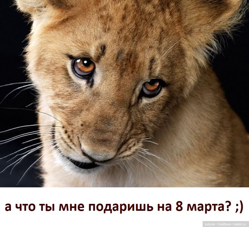 МАРТриархат — Болталка и разговоры обо всем: жизнь (фото 4)