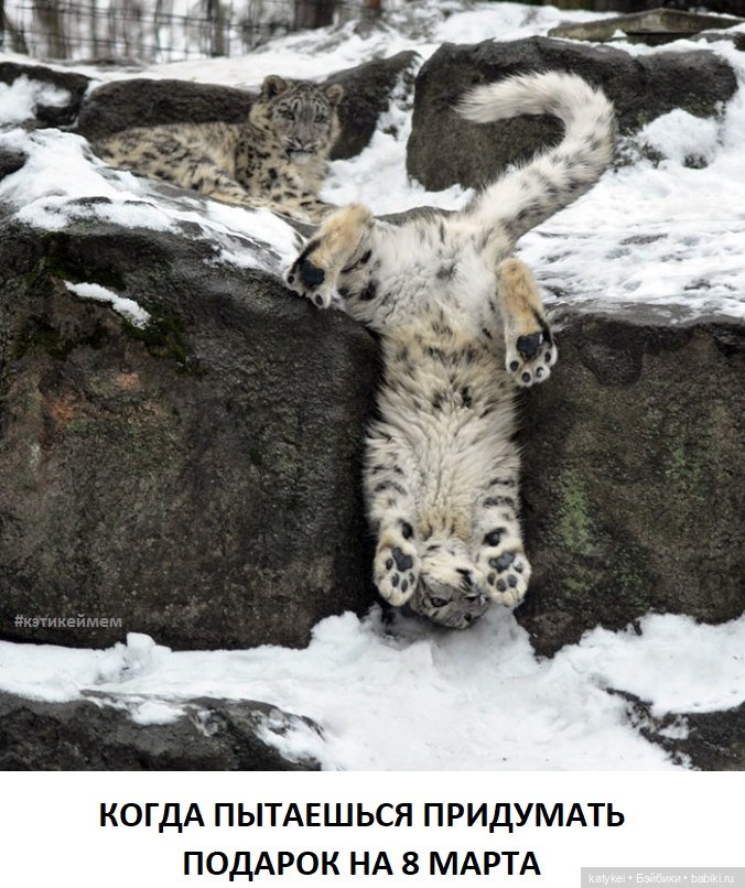 МАРТриархат — Болталка и разговоры обо всем: жизнь (фото 9)