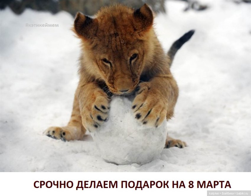 МАРТриархат — Болталка и разговоры обо всем: жизнь (фото 5)