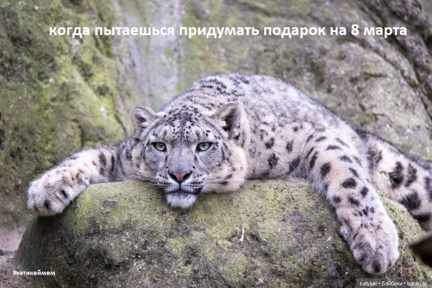 МАРТриархат — Болталка и разговоры обо всем: жизнь (фото 8)