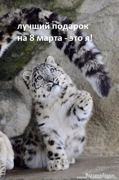 МАРТриархат — Болталка и разговоры обо всем: жизнь