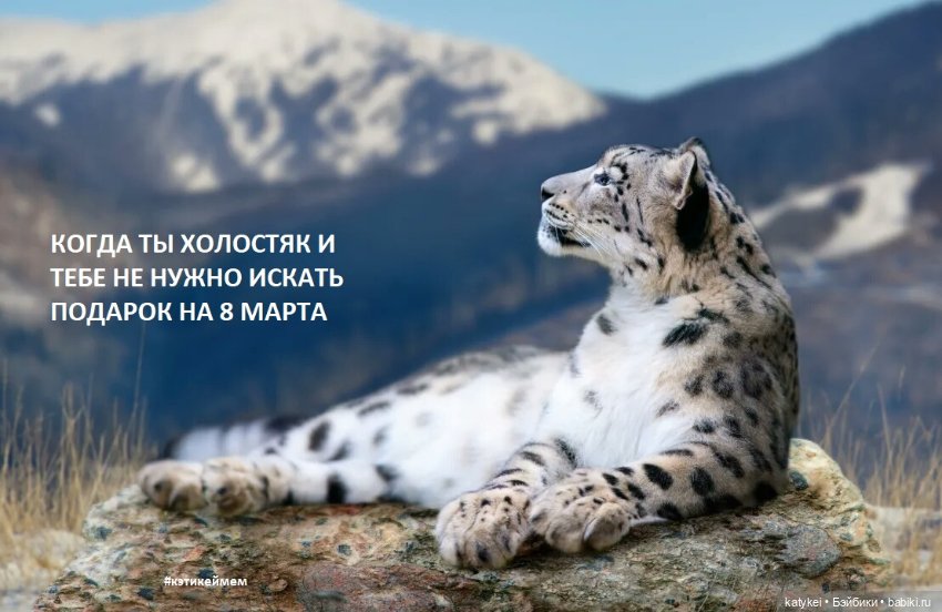 МАРТриархат — Болталка и разговоры обо всем: жизнь