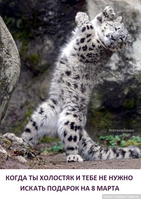 МАРТриархат — Болталка и разговоры обо всем: жизнь