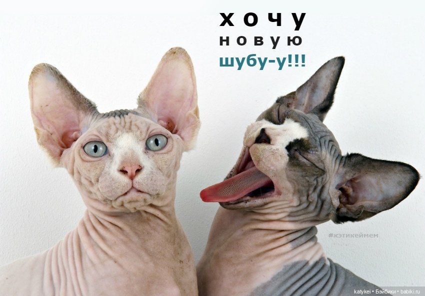 МАРТриархат — Болталка и разговоры обо всем: жизнь (фото 7)