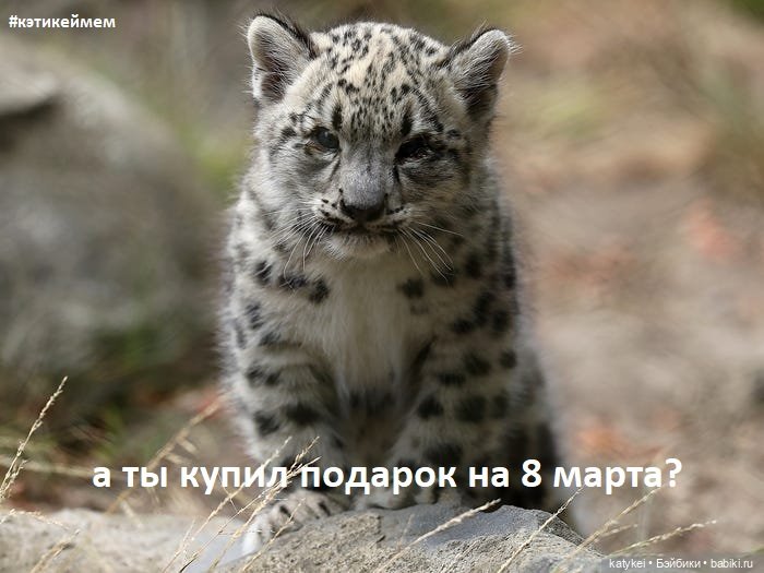 МАРТриархат — Болталка и разговоры обо всем: жизнь