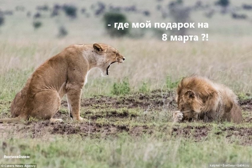 МАРТриархат — Болталка и разговоры обо всем: жизнь (фото 2)