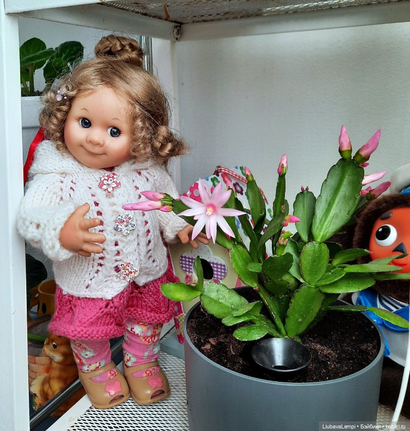Каждый день - событие — Домашние коллекции кукол: фото собраний (фото 9)