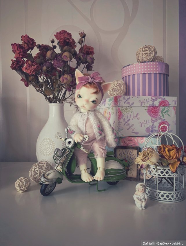 Кошечка. Просто кошечка любования для