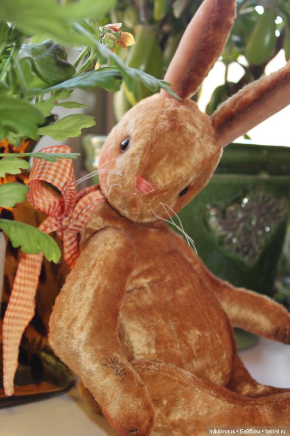 Зайка, который хотел появиться к 8 марта, да так и не успел (фото 9)