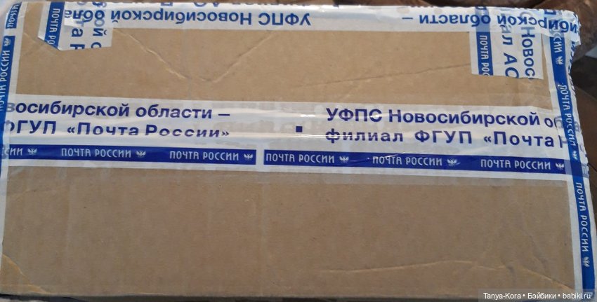 Дейзи Кингдом: из Новосибирска в Киев за 13 дней