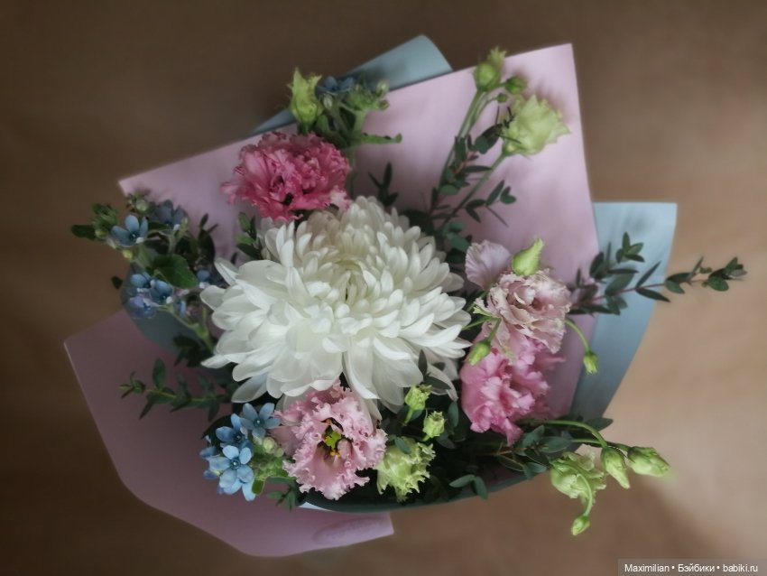 Эта пара, как букет — Куклы Dollshe Craft (Доллше): BJD (БЖД)