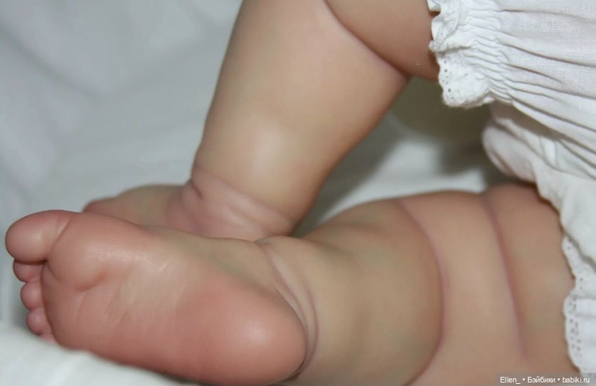 Charlotte by Laura Lee Eagles (фото 4)