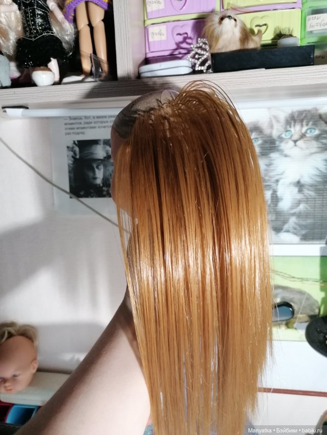 Перепрошивка Ханночки Gotz (фото 4)