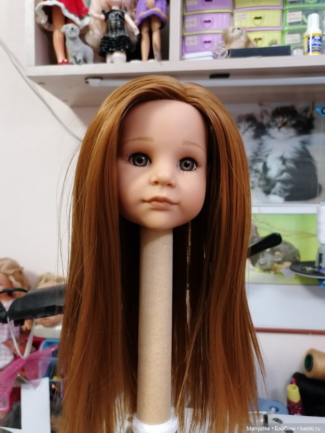 Перепрошивка Ханночки Gotz (фото 8)