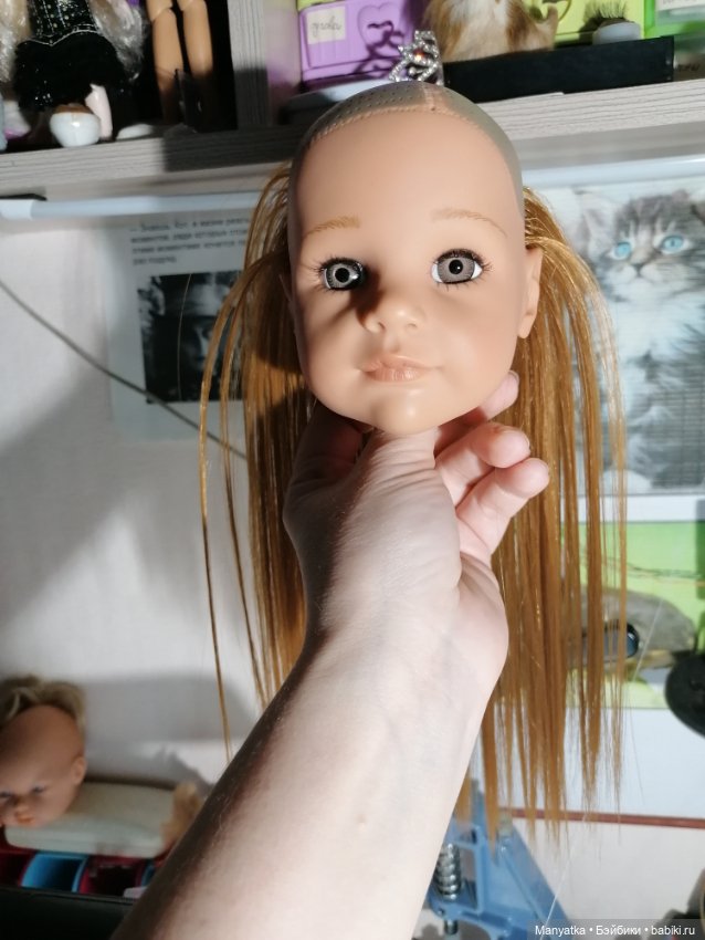 Перепрошивка Ханночки Gotz (фото 3)