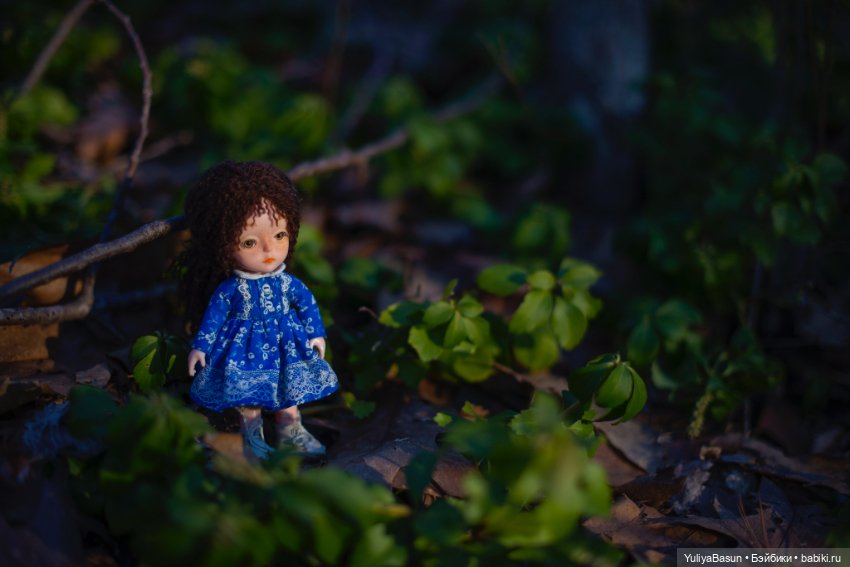 Большое путешествие крошки Евочки. День первый