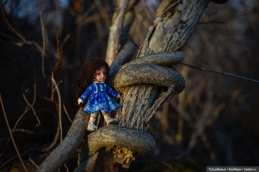 Большое путешествие крошки Евочки. День первый (фото 9)