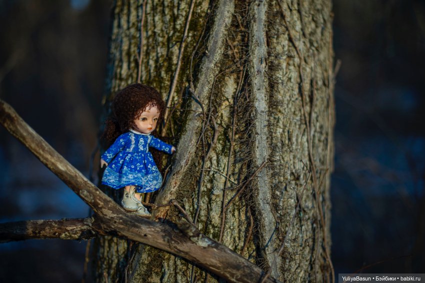 Большое путешествие крошки Евочки. День первый