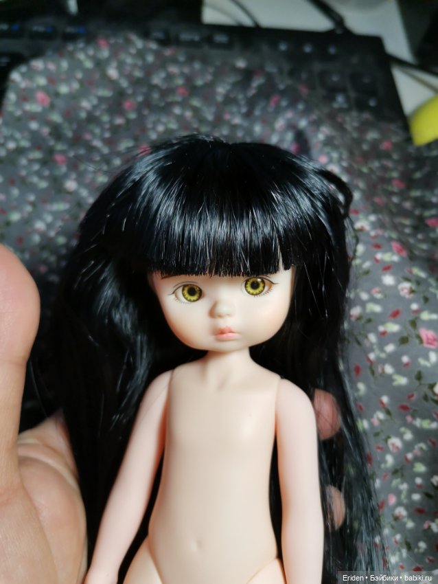 Приехали. Обзорчик. Duoding ( Dolly K) новые девочки с двумя головами