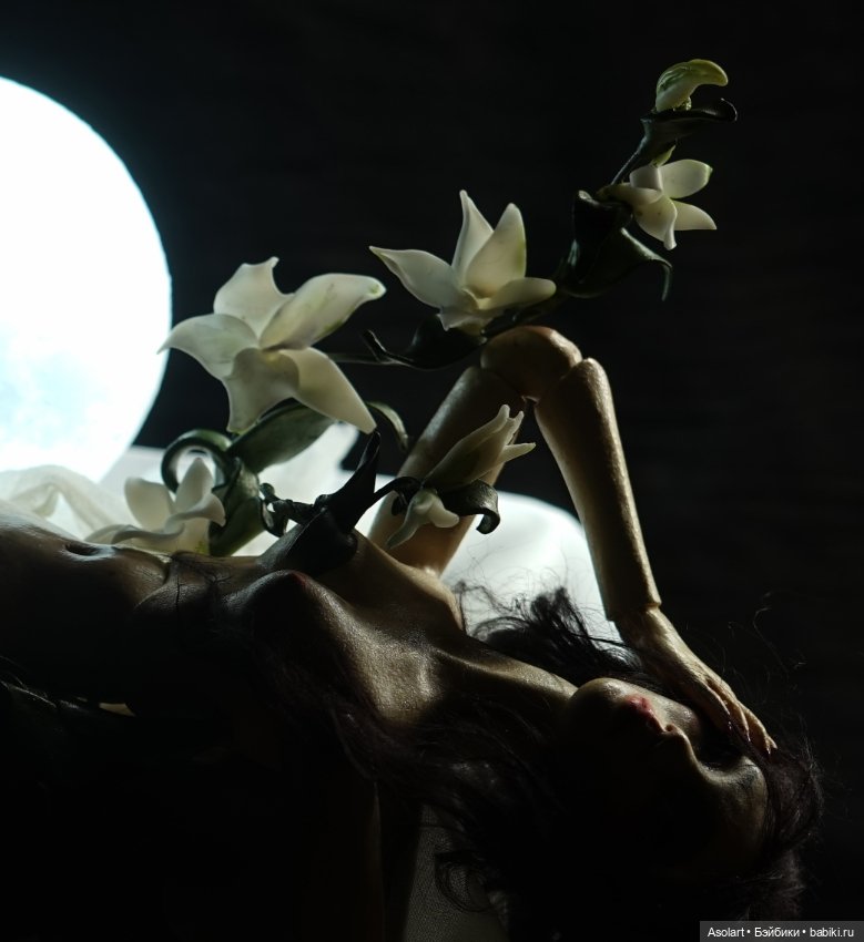 Чёрная фиалка, царевны и демоны