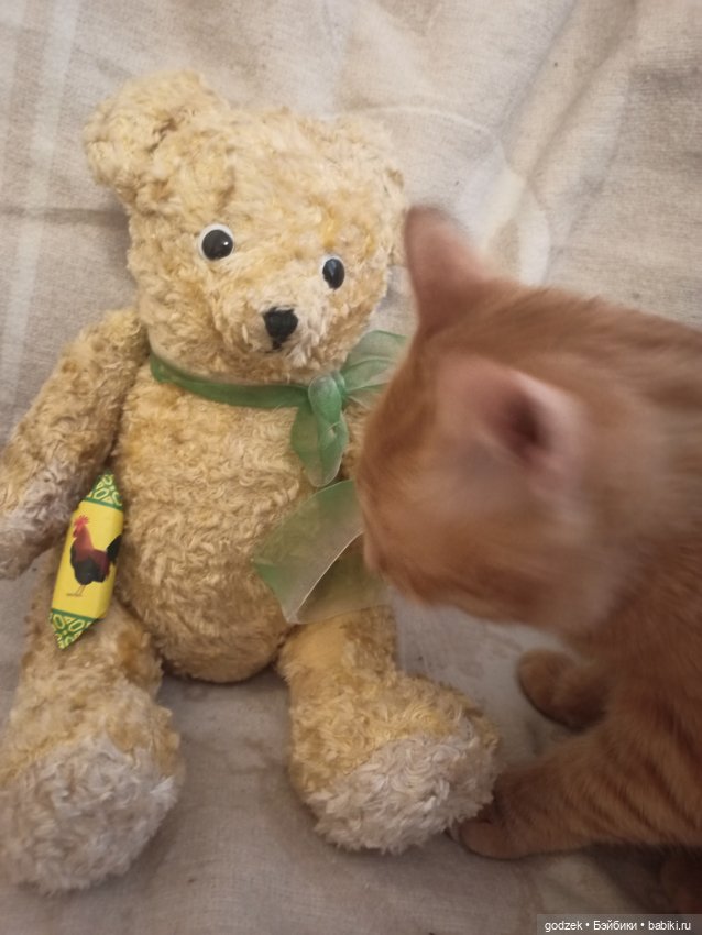 Мишки — Кукольная мастерская: ремонт (фото 2)