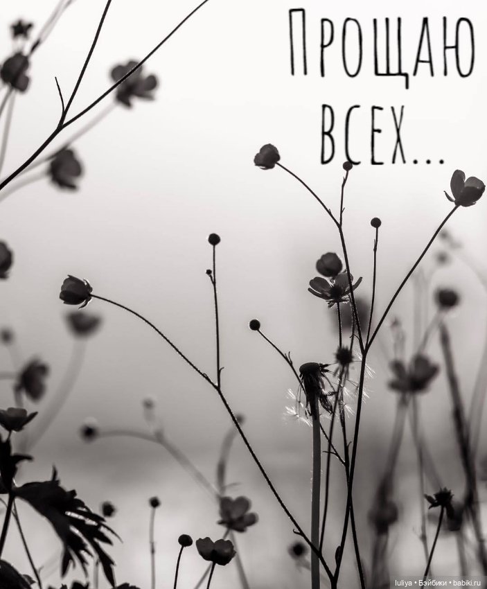 Прощеное Воскресенье и Масленница (фото 7)