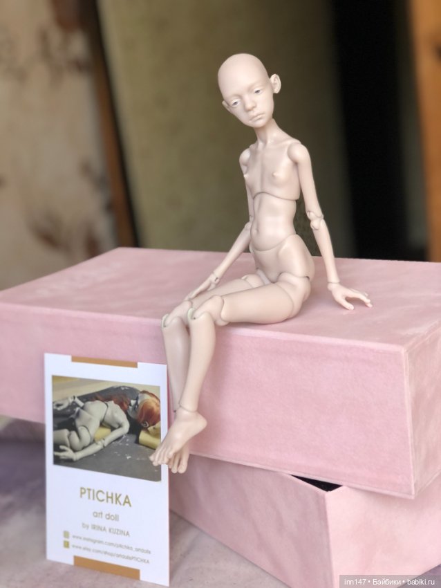 Моя Птичка Лора прилетела ко мне (фото 3)