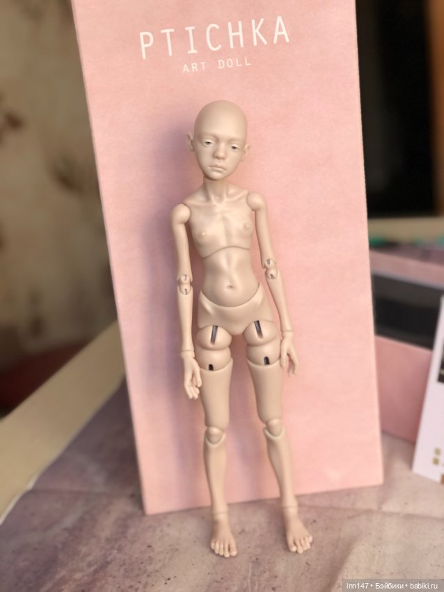 Моя Птичка Лора прилетела ко мне (фото 2)