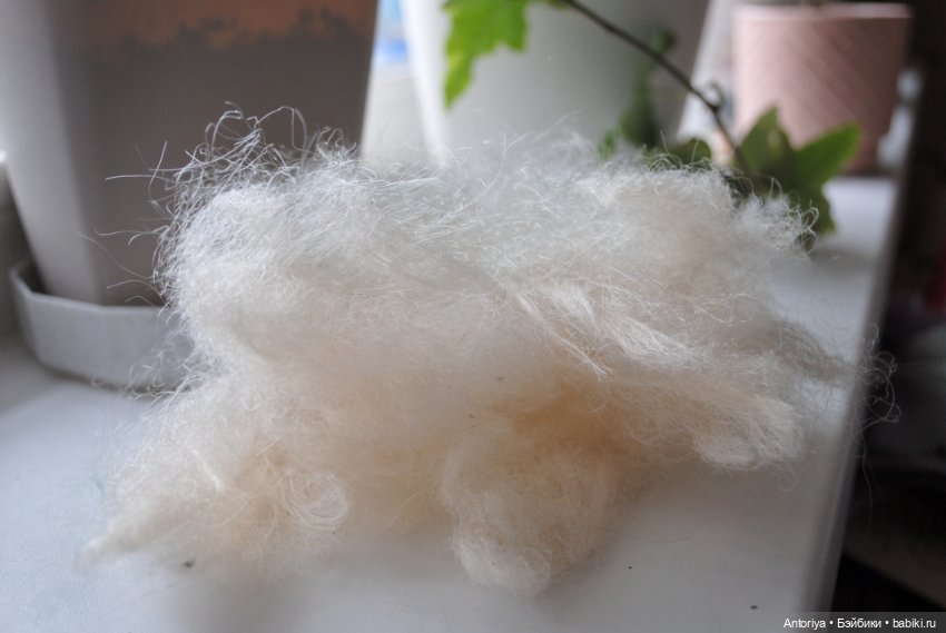 Знакомство не по плану — Болталка и разговоры обо всем: жизнь