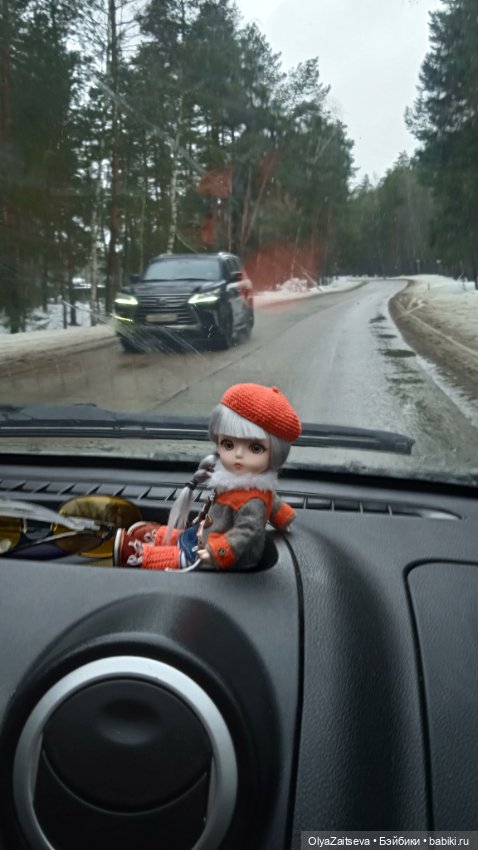 Надоело в городе сидеть. Баболики (фото 2)