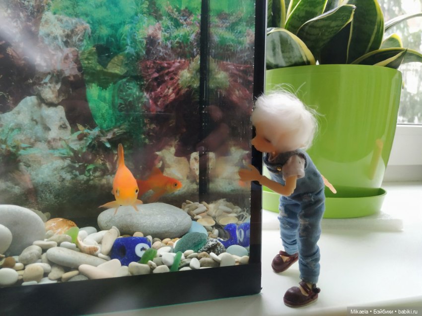 Авторские куклы BJD (БЖД) у нас дома: фото