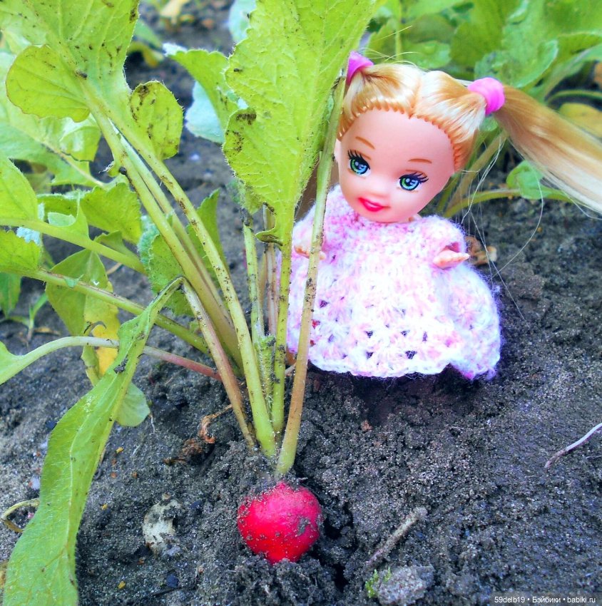 В холодный дождливый день мечтается о тёплом лете