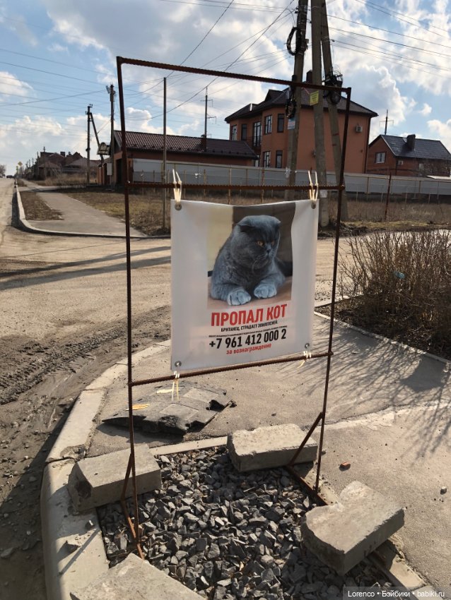 Прогулка к школе — Туризм и путешествия: фотоотчеты из поездок