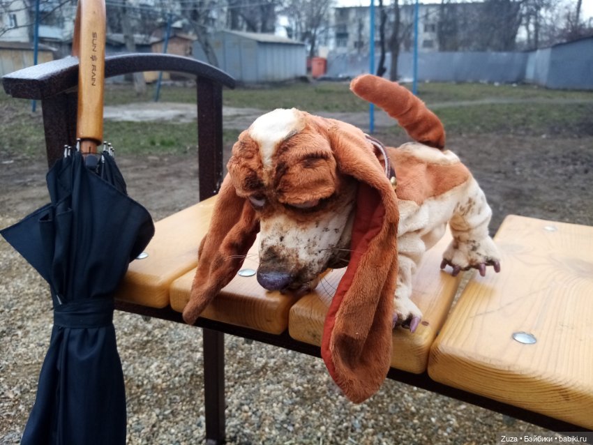 Федя, гулять — Авторские мишки Тедди и друзья: фото (фото 10)