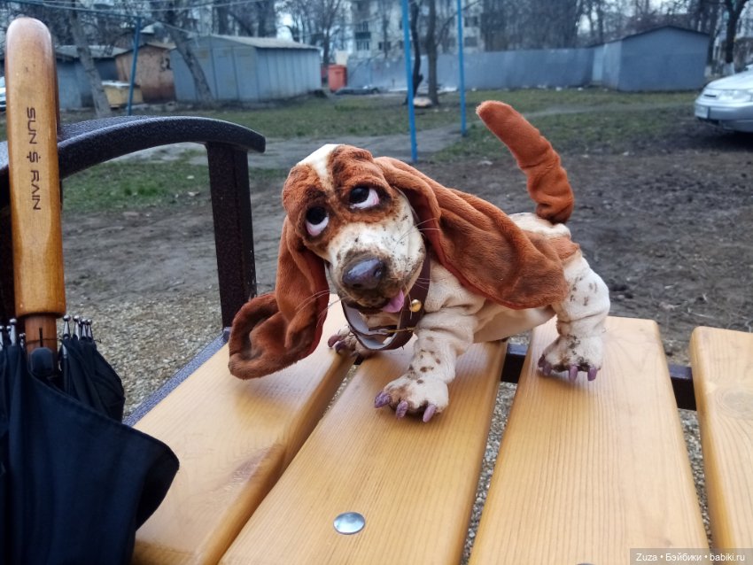 Федя, гулять — Авторские мишки Тедди и друзья: фото (фото 5)