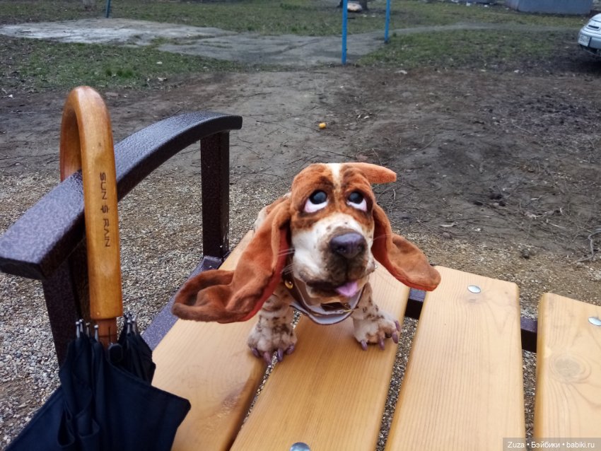 Федя, гулять — Авторские мишки Тедди и друзья: фото (фото 6)