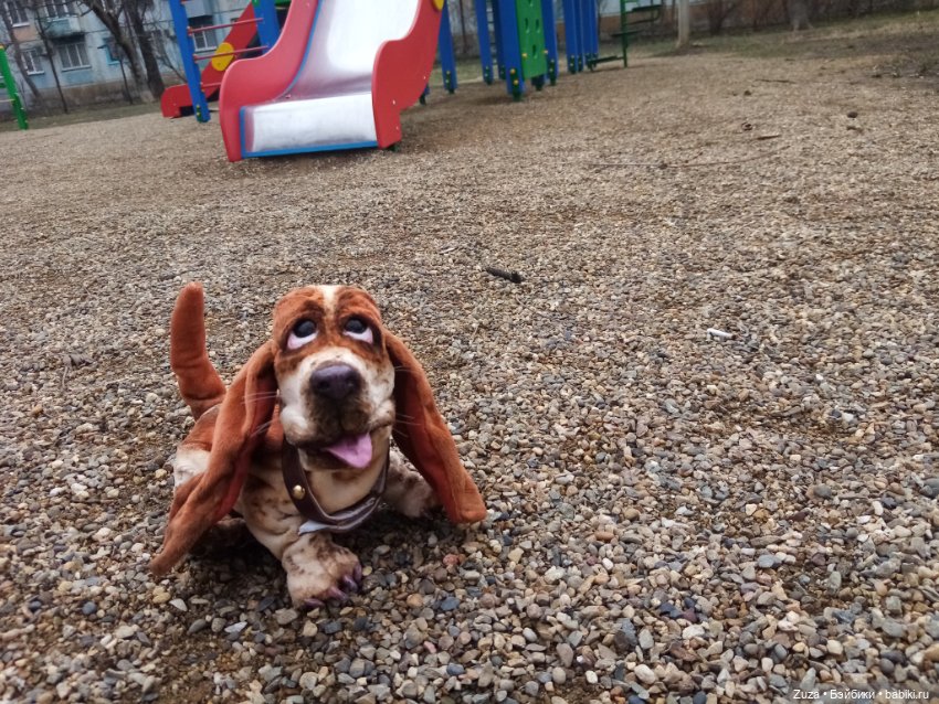 Федя, гулять — Авторские мишки Тедди и друзья: фото