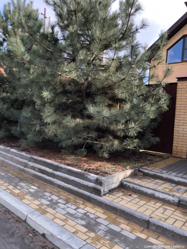 Прогулка к школе — Туризм и путешествия: фотоотчеты из поездок