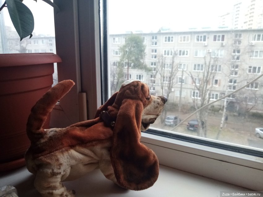 Федя, гулять — Авторские мишки Тедди и друзья: фото