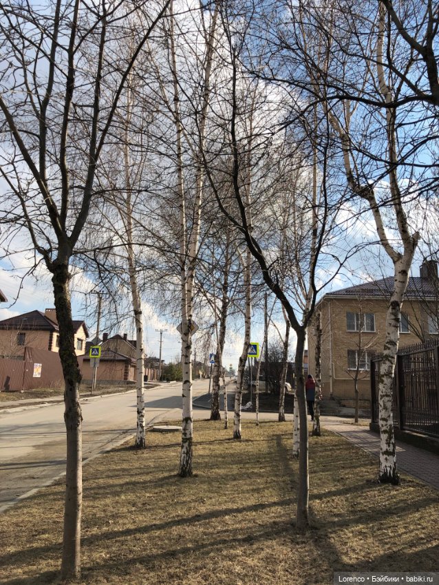 Прогулка к школе — Туризм и путешествия: фотоотчеты из поездок