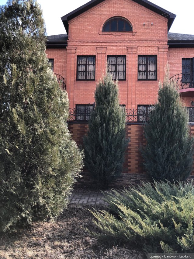 Прогулка к школе — Туризм и путешествия: фотоотчеты из поездок (фото 9)